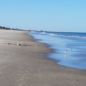 Meet your Posher, Betty